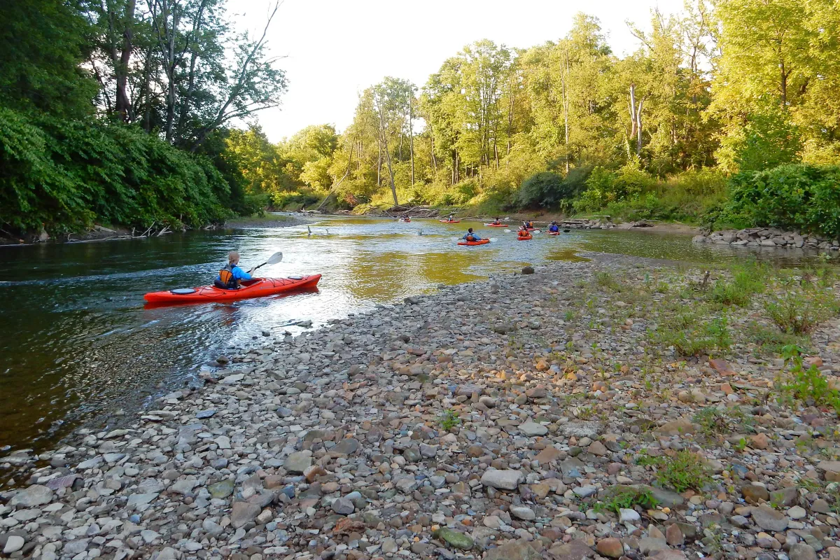 People in bright orange kayaks paddle around a bend in a river, past green trees and a rocky shore.