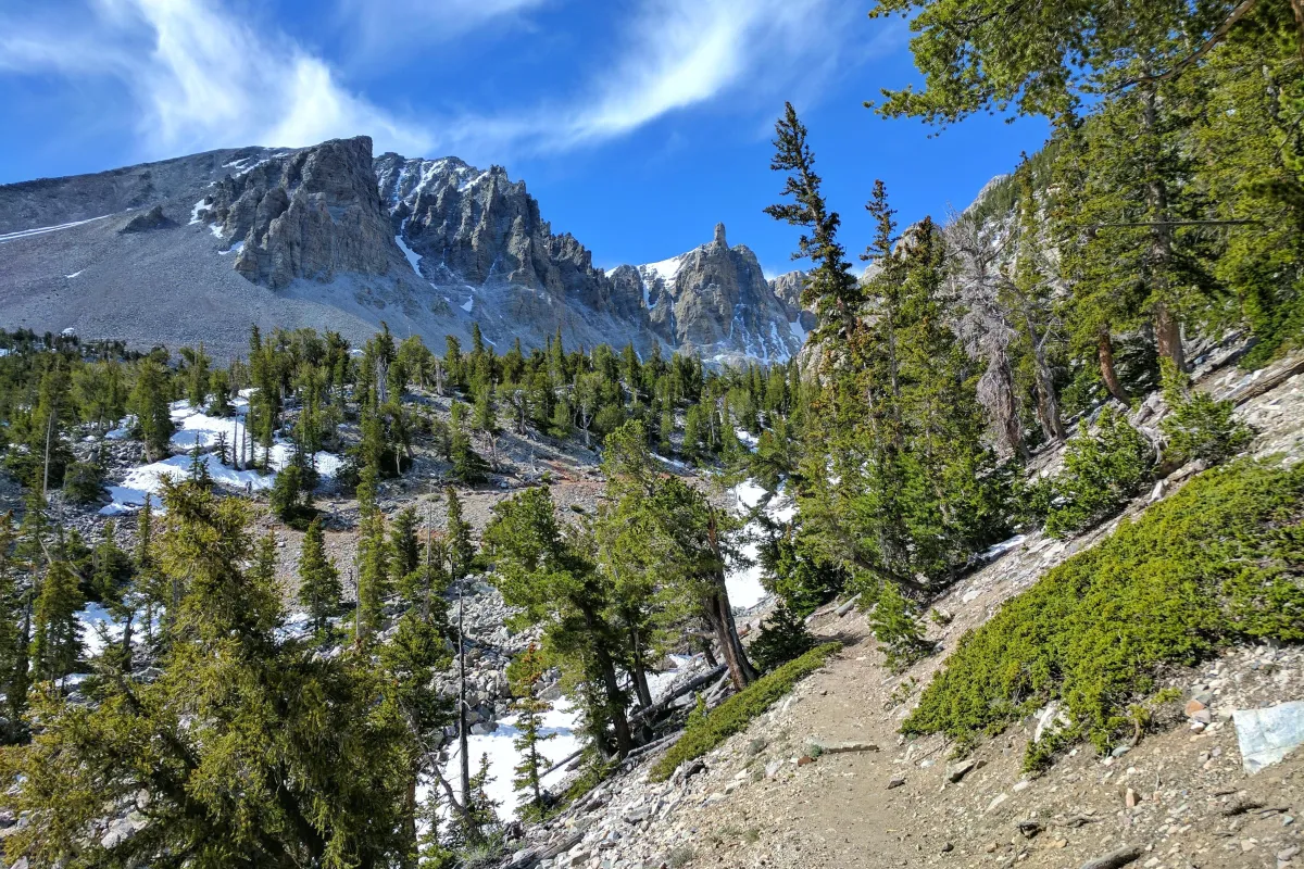 blue sky with green trees in mountain cirque