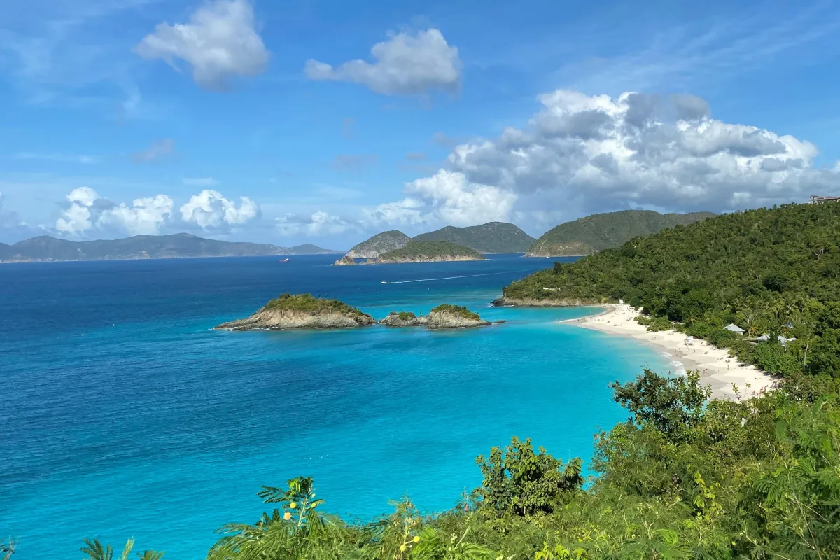 Turquoise water laps white sandy shore fringed with lush green vegetation.