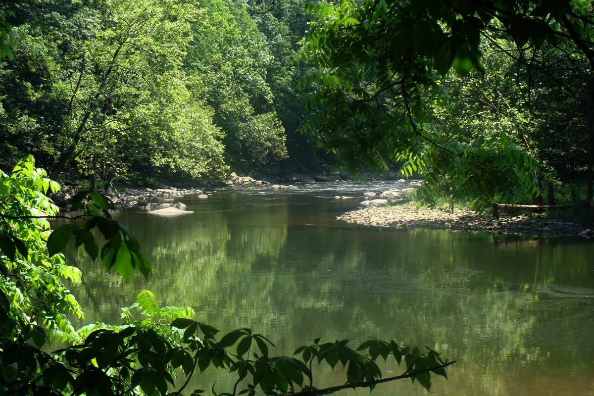 Bluestone River
