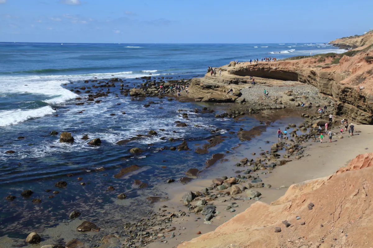 Tidepools at Cabrillo