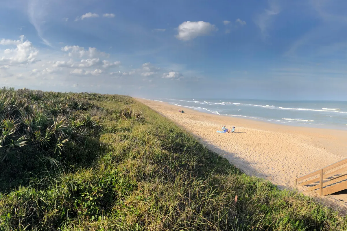 Dune plants, beach, and ocean.