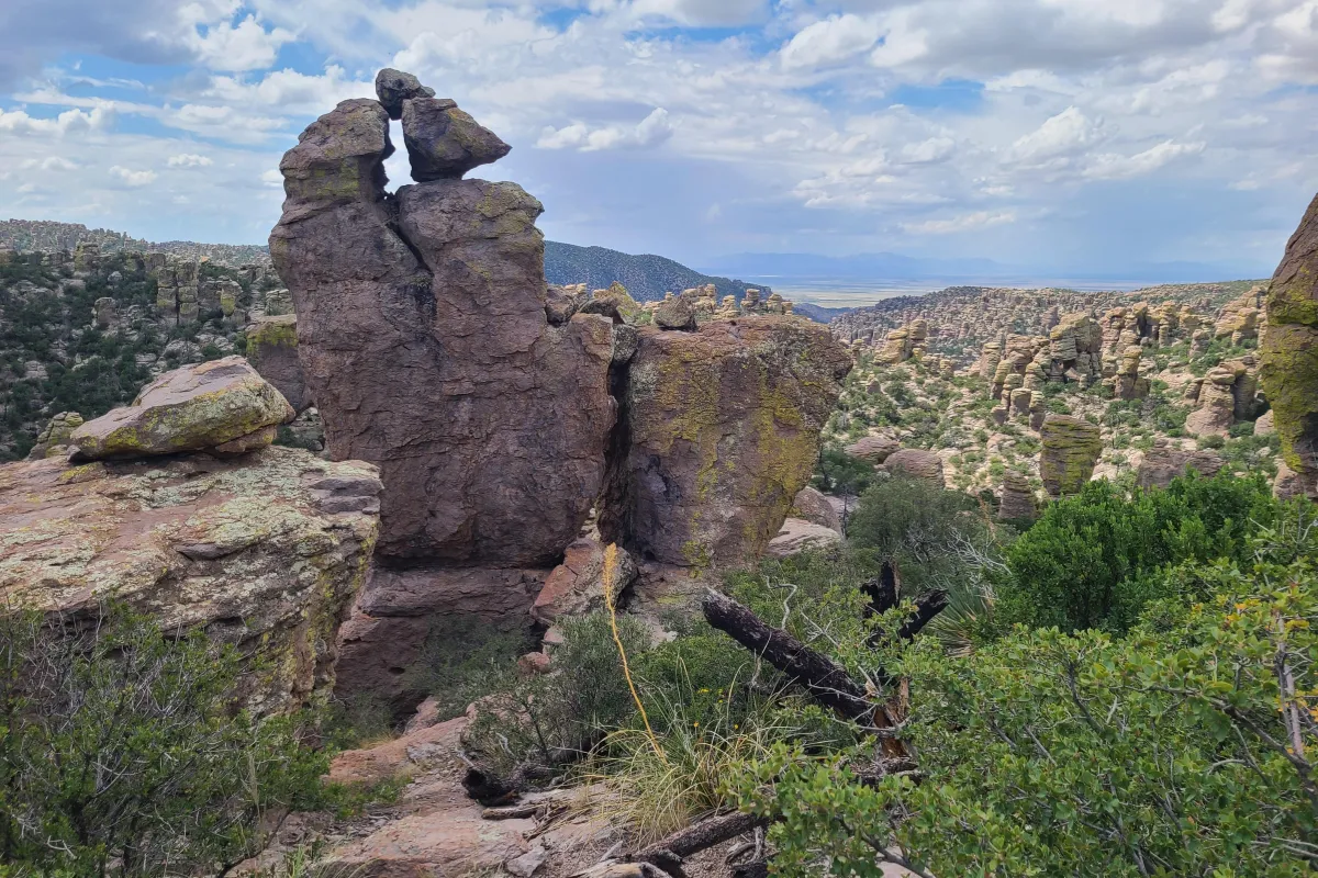 Many rock pinnacles with a valley and mountain range in background