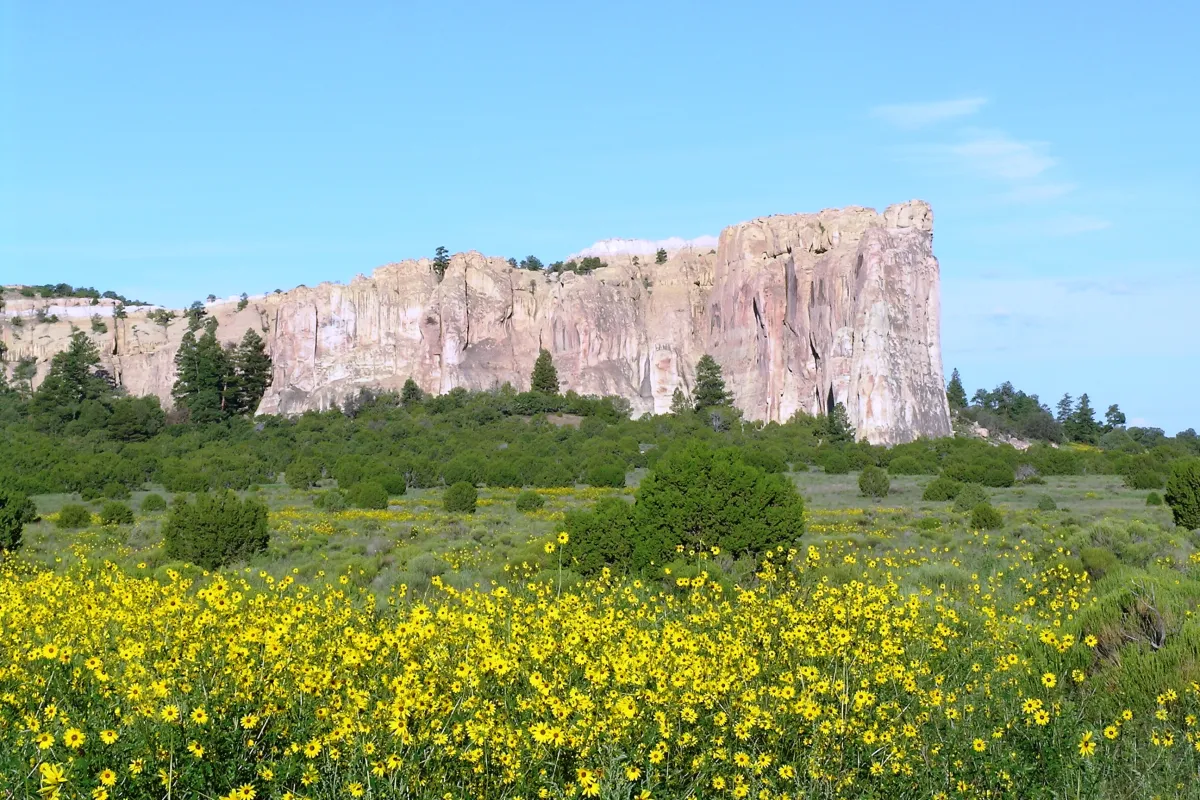 El Morro with Sunflowers