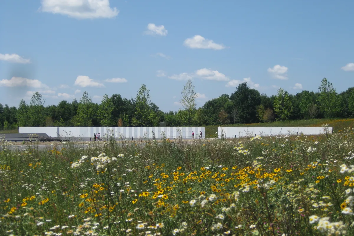 Field of white and yellow wildflowers with a white wall in the distance and blue sky above.