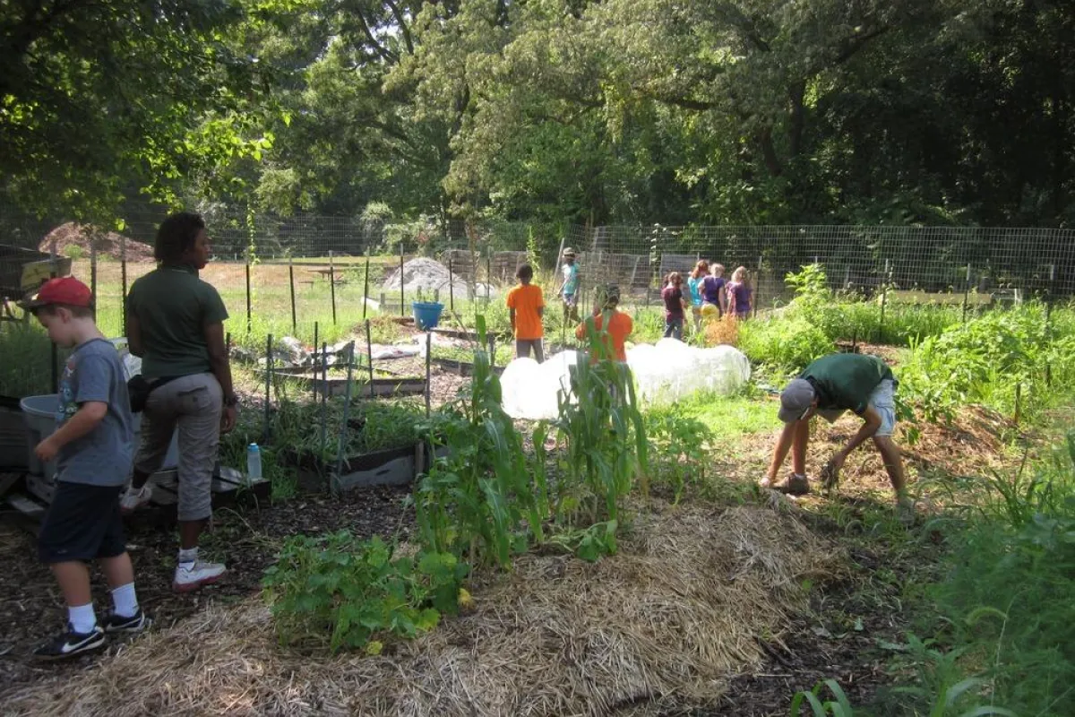 Children plant vegetables at the community gardens