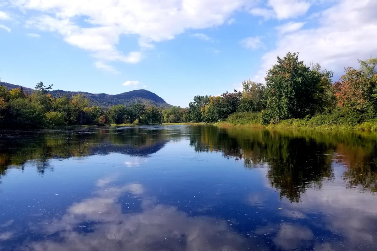 Mirror reflection of Lunksoos Mountain and trees within the water of the river.