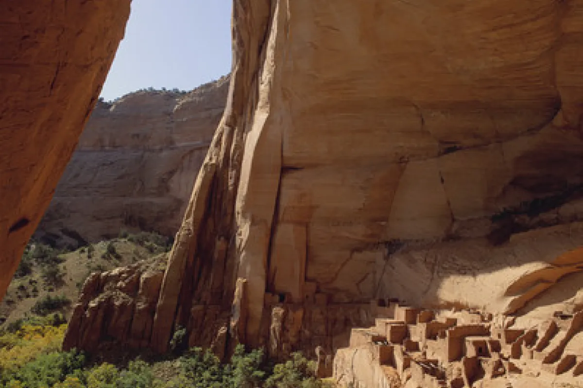view from inside the Betatakin Cliff Dwelling looking out.