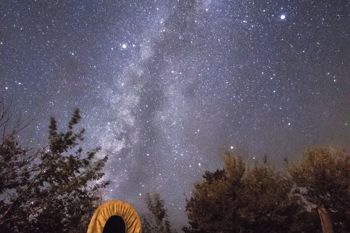 A glittering sky of stars glows above a historic covered wagon.