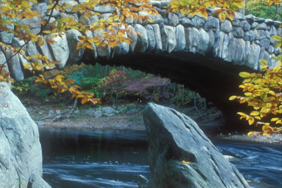 Stone bridge and fall leaves