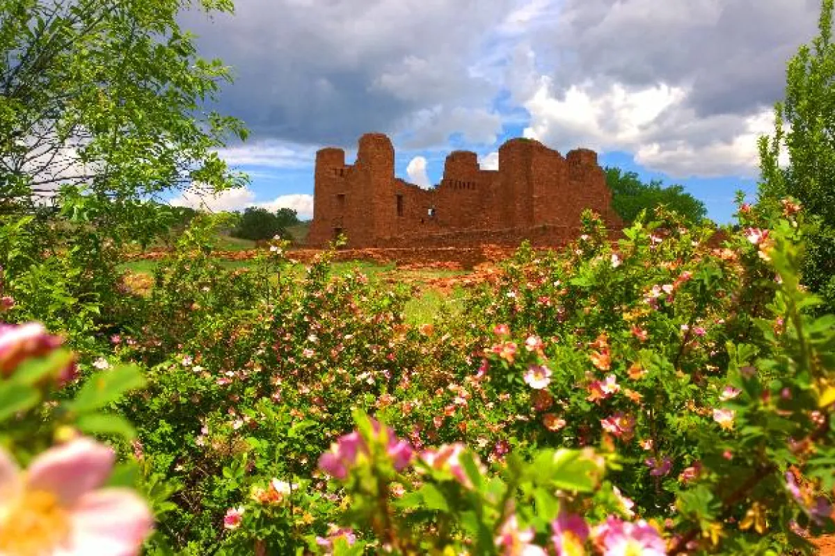 Pink flowers and green foliage frame the roofless remains of a stone mission.