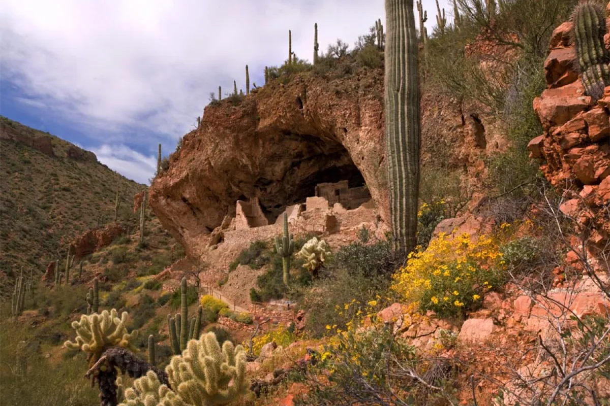 cliff dwelling in the spring with desert plants and wildflowers.