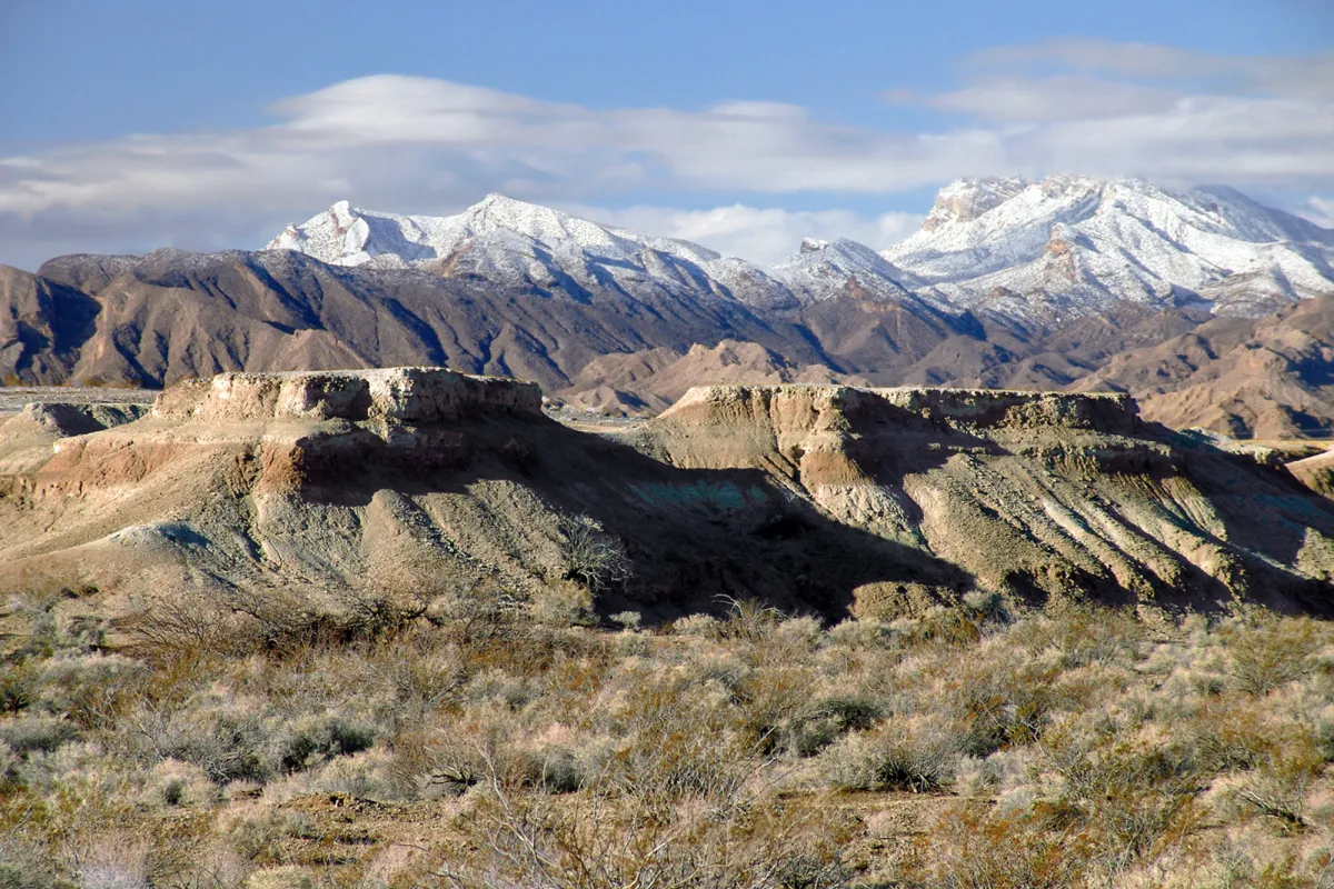 Tule Springs during winter