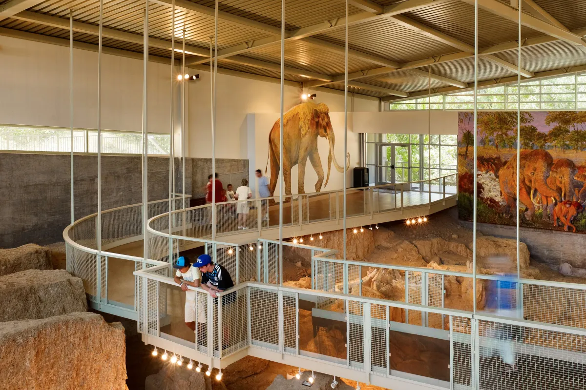 Visitors view fossils from walkway