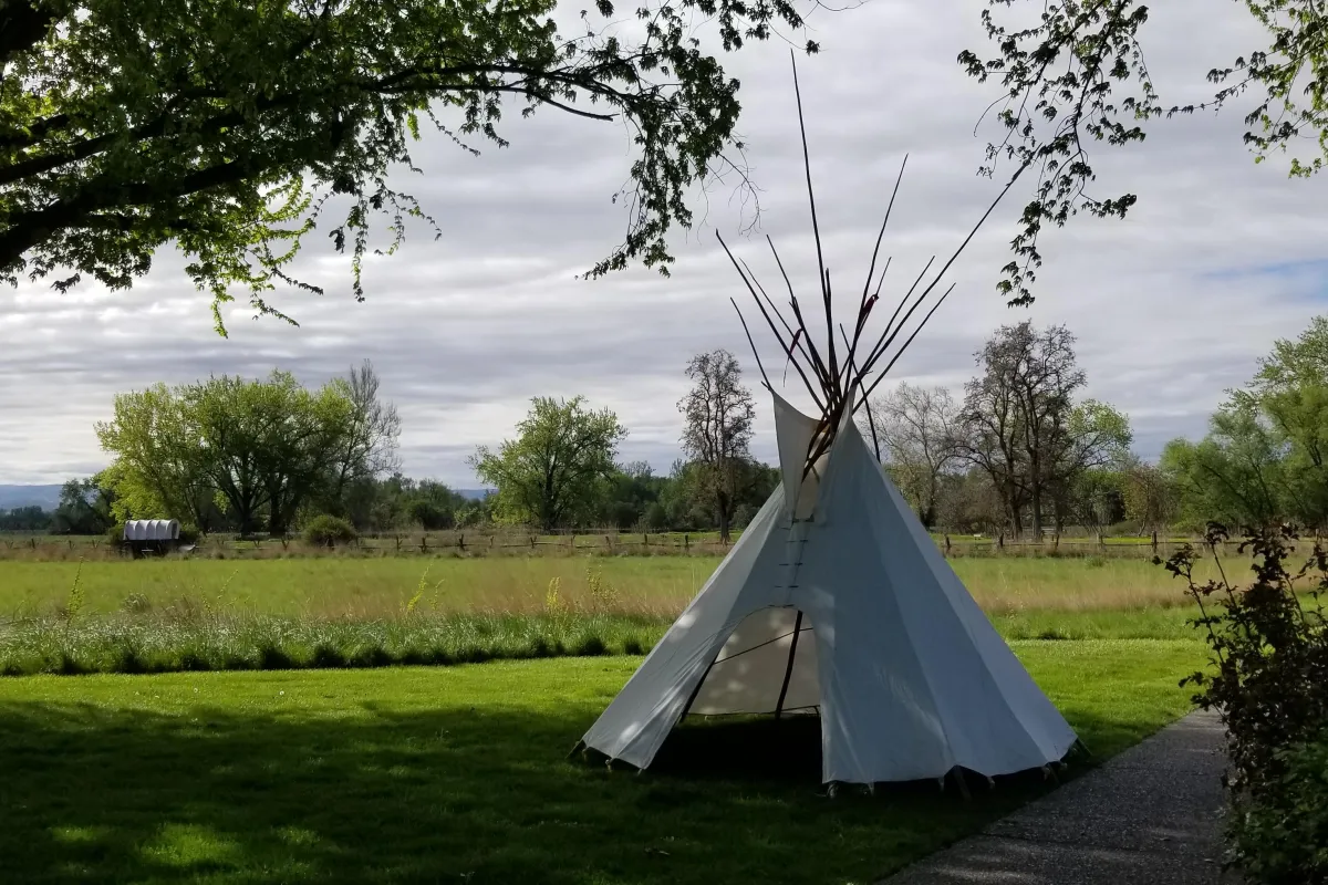 A tipi sits beneath a tree near a walking trail