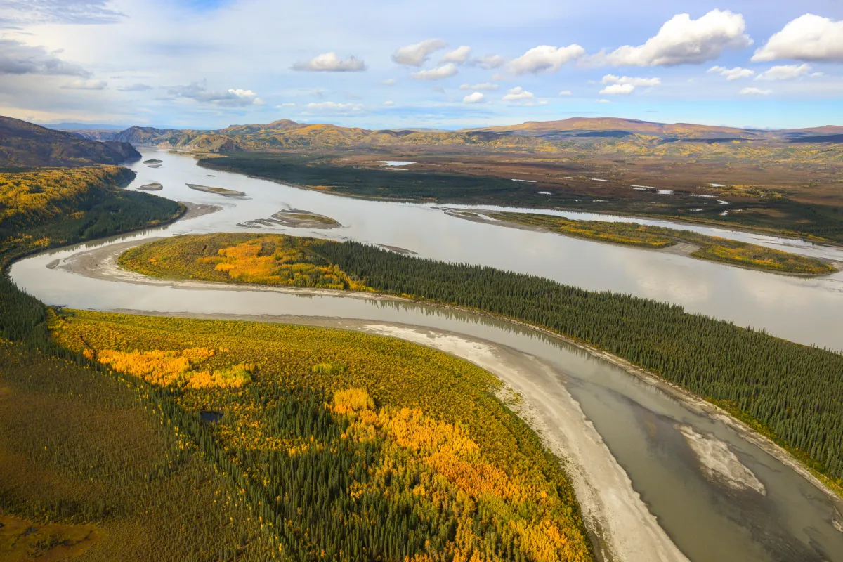 Aerial view of the Yukon River during fall colors